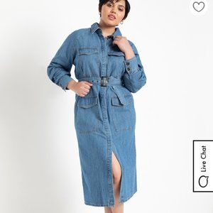 Denim Button Down Midi Dress